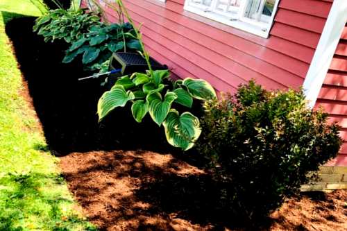 Premium Lawn & Landscaping