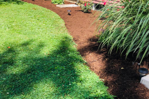 Premium Lawn & Landscaping