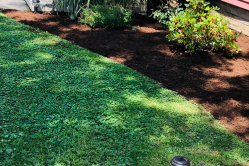 Premium Lawn & Landscaping