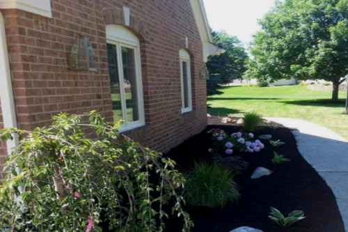 Premium Lawn & Landscaping