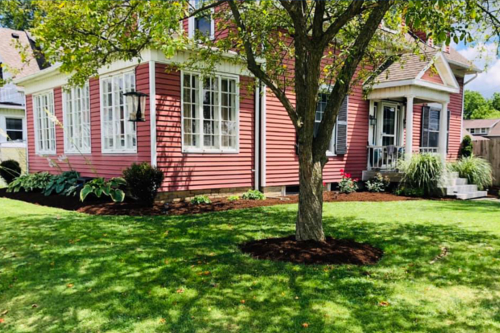 Premium Lawn & Landscaping