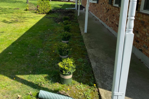Premium Lawn & Landscaping