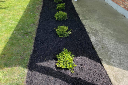 Premium Lawn & Landscaping