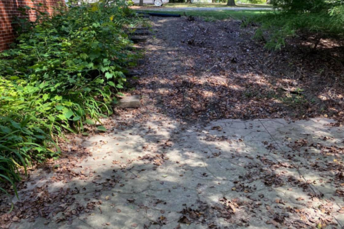 Premium Lawn & Landscaping
