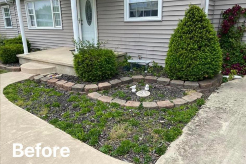 Premium Lawn & Landscaping