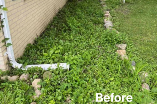 Premium Lawn & Landscaping