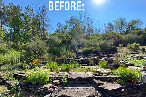 Premium Lawn & Landscaping